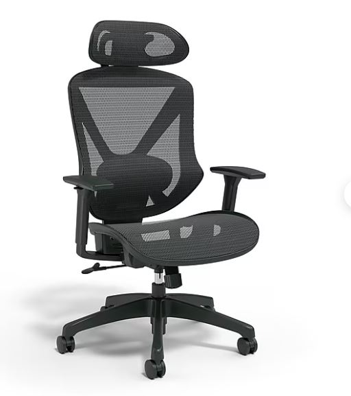 Dexley Ergonomic Mesh Swivel Task Chair